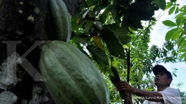 2015-08-11-Mondelez investasi US$ 400 juta untuk petani kakao